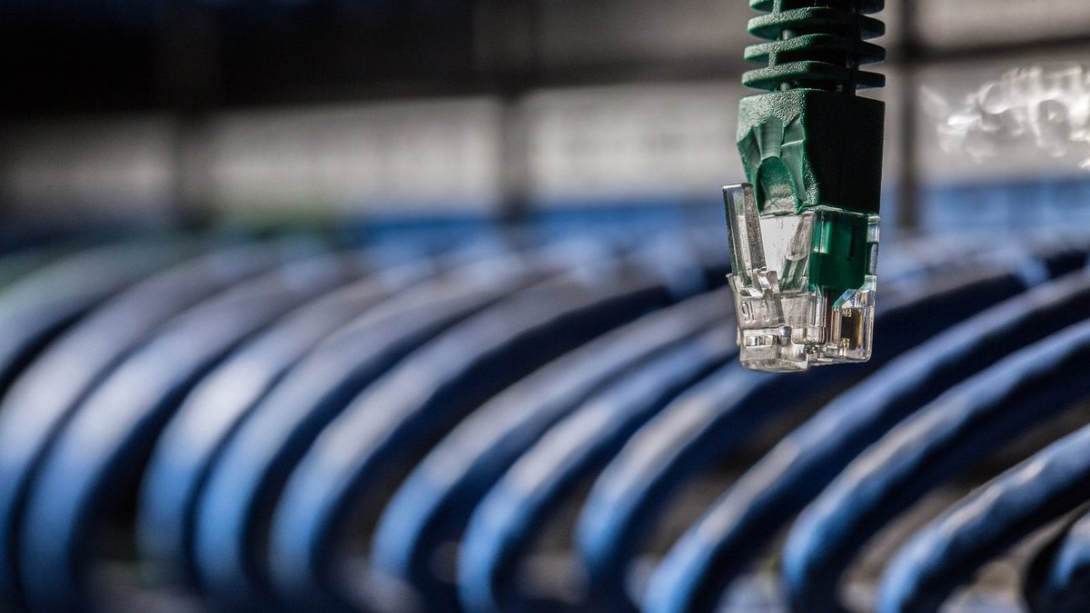 A green Ethernet connector hanging in front of rows of blue network cables.