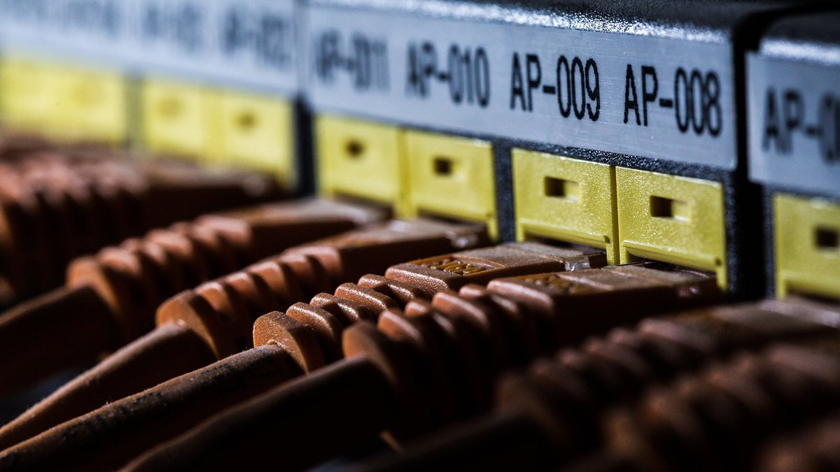 Brown network cables plugged into a row of individually labelled ports.