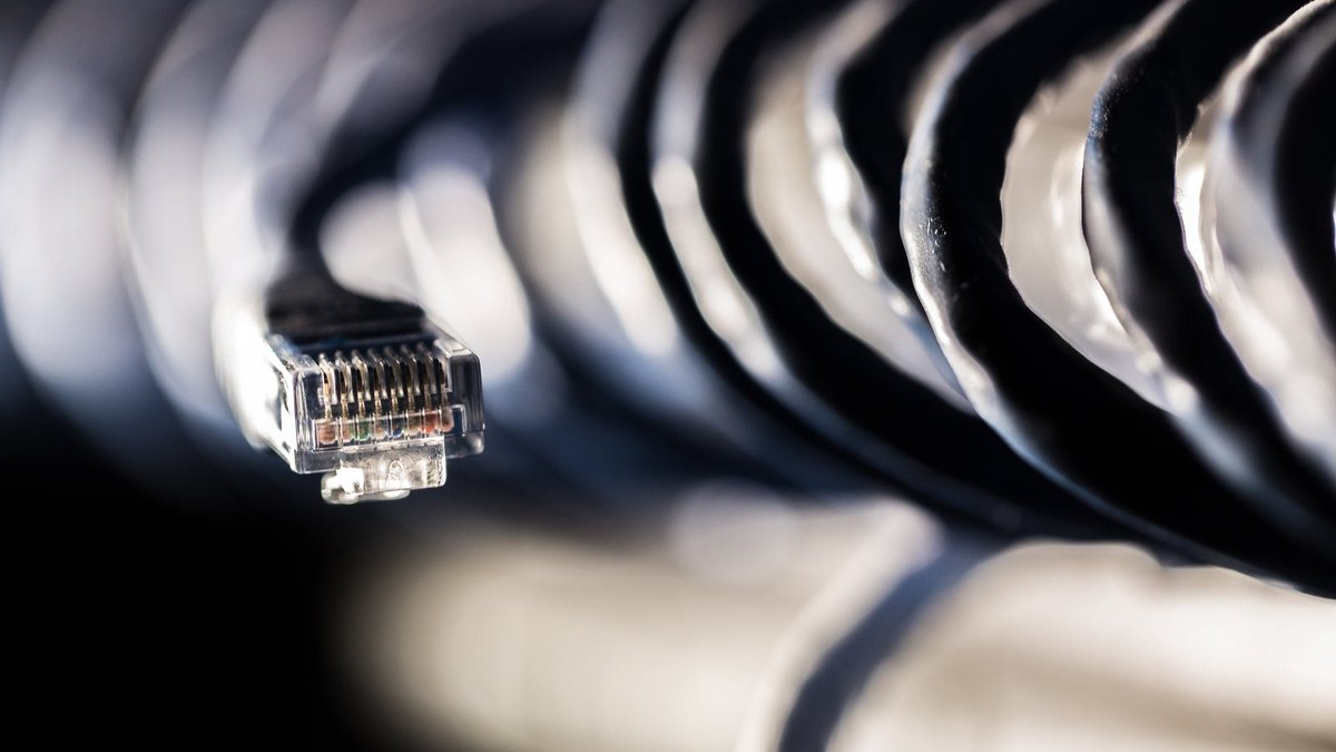 An unconnected Ethernet plug hanging beside a row of connected cables.