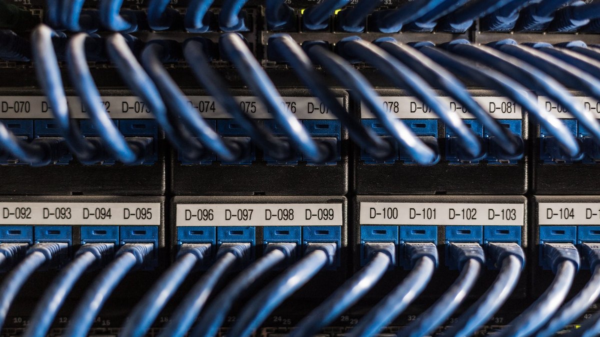 Rows of blue cables connected to labelled network ports.