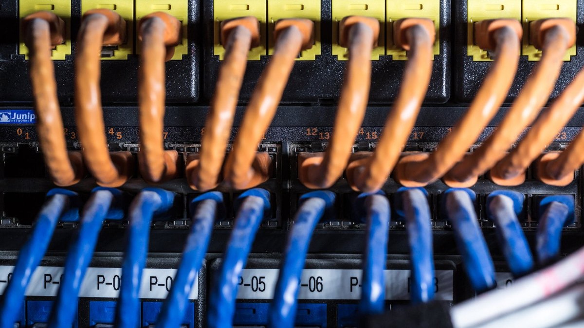 Orange and blue network cables connected in separate rows of ports.